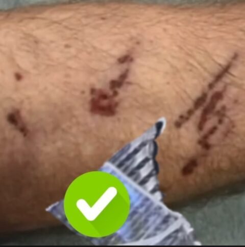 🚨An Alternative Theory: What Likely Happened to John O’Keefe? - Justice