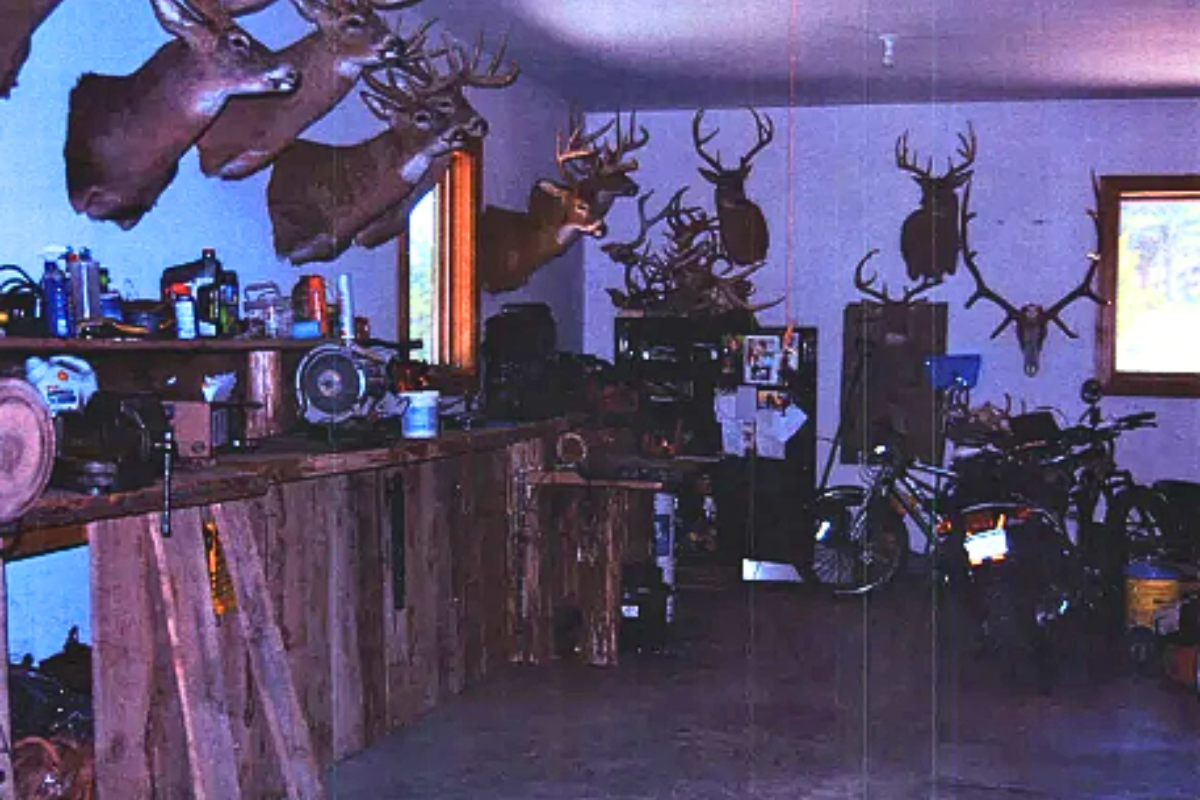 Barry Morphew Deer Heads Hanging on the wall